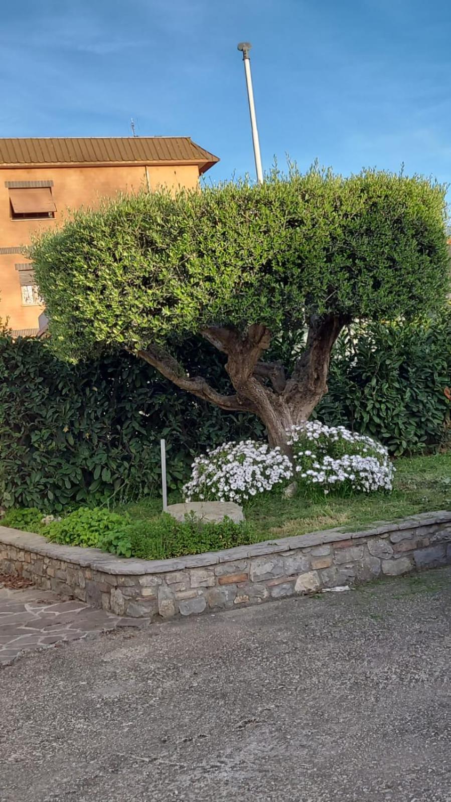 Casetta Delle Fiabe Ρώμη Εξωτερικό φωτογραφία